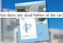 San Jose police arrested for asking 'Is there a dead baby in the car?'