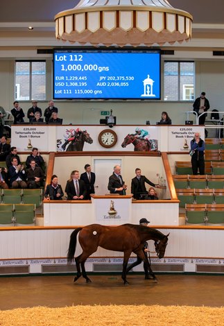 Colt from Galileo's last harvest brought in $1.31 million