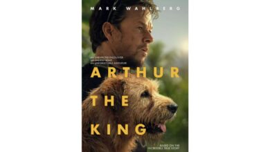 The movie Arthur The King introduces the rescue of a stray dog