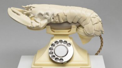 Salvador Dali lobster phone uses AI to answer museum visitors' questions: NPR