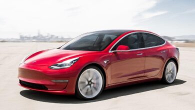 Tesla Model 3 traps TikToker inside 115-degree car during software update