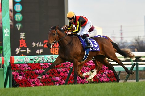 Regaleira was against the boys again in the 2000 Japanese Guineas