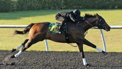 Bolt d'Oro Colt Breezes finished eighth behind: 09 3/5 at OBS
