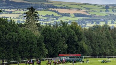 Consistent rainfall is a challenge for Irish racecourses