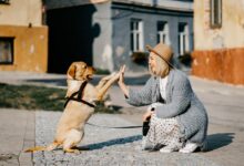 7 Reasons We Should Stop Calling Ourselves "Dog Owners"