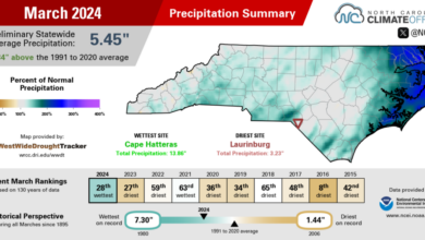 March 2024 precipitation summary infographic, highlighting average monthly temperatures, deviations from normal, and comparisons with previous and recent years