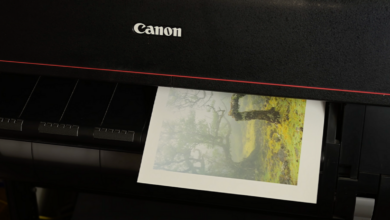 A comprehensive guide to getting started printing your photos