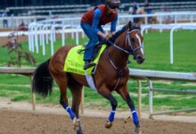 Mystik Dan Returns To His 'Old Self' As He Returns To The Track