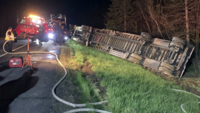An 18-wheeler carrying 15 million bees crashes into Maine, releasing an unknown number of flying monsters