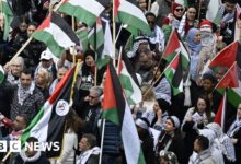 Thousands of people protest against Israel at Eurovision
