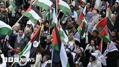 Thousands of people protest against Israel at Eurovision