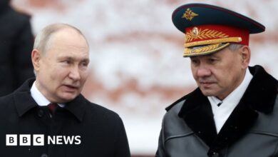 Putin will replace Defense Minister Shoigu