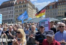 Germany: Court upholds AfD's suspected extremist status