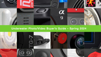 Underwater Photo/Video Buyer’s Guide – Spring 2024
