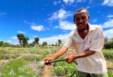 Madagascar: Collaboration, convergence and radical change
