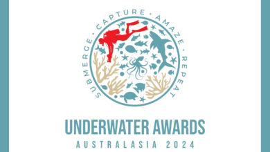 The inaugural Australasia Underwater Photography Competition launches in June 2024