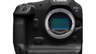 Canon Announces Development of Flagship EOS R1 Camera