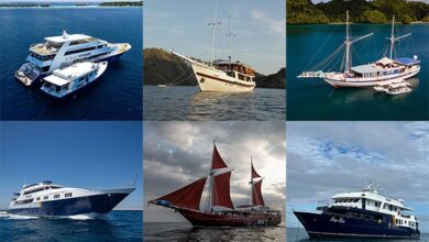 Master Liveaboards offers up to 40% off trips for a limited time