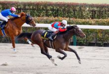 Ramjet could be a favorite in the Tokyo Derby
