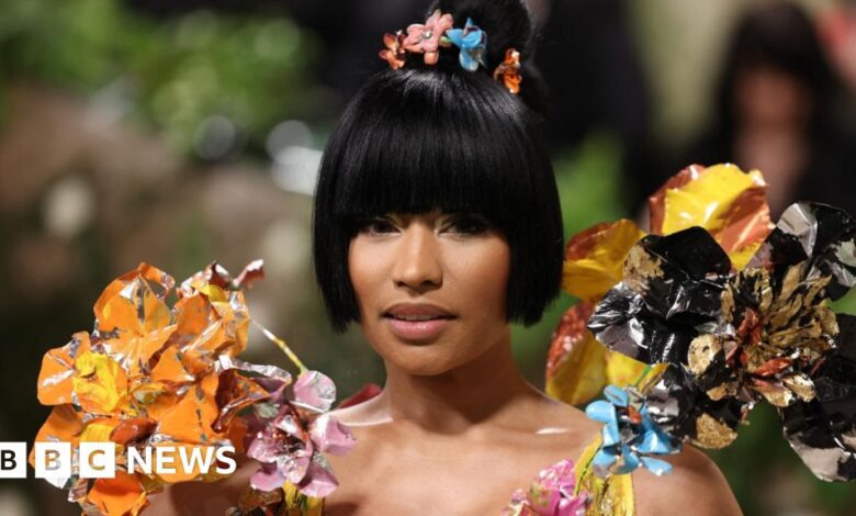 Nicki Minaj was released after being arrested at Amsterdam airport