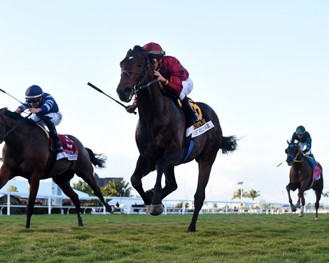 World War I, Trikari was drawn to PA for the Penn Mile