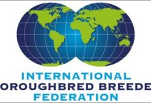 Summary conference of international livestock breeders group