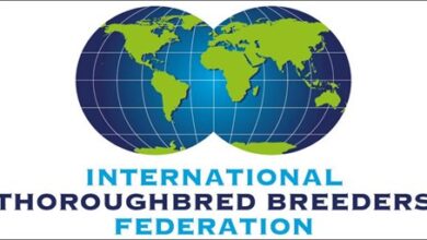 Summary conference of international livestock breeders group