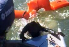 A fisherman threw his life jacket to save a drowning dog that "wasn't a dog"