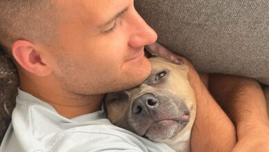The couple adopts a Pit Bull and discover interesting facts about the breed