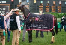 Betting record for the 150th Kentucky Oaks