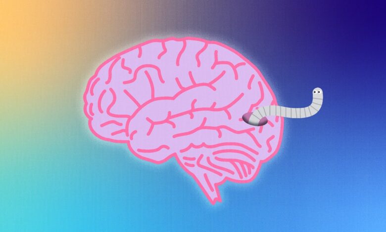 How to avoid being infected with brain-eating worms and mercury poisoning