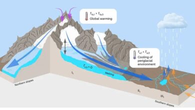 The Suspicious Dance of Cooling Glaciers in a Warming World – Are You Enjoying It?