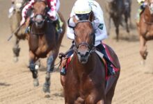 World record Another potential star for Gun Runner