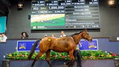 Three seven-figure numbers Day 2 at Magic Millions