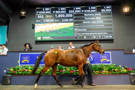Three seven-figure numbers Day 2 at Magic Millions