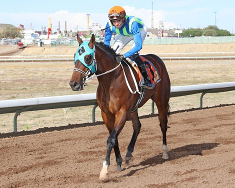 Higher first stakes winner for sporting chances