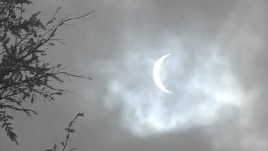 Photo of the April 8 partial solar eclipse in Pisgah National Forest