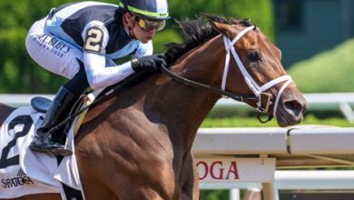 Nest retired from racing;  Ordered for Mr. Mo