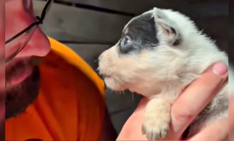 The man holds the newborn puppy and she makes a list of complaints