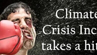 Climate Crisis Inc.  Having difficulty – Are you successful with it?