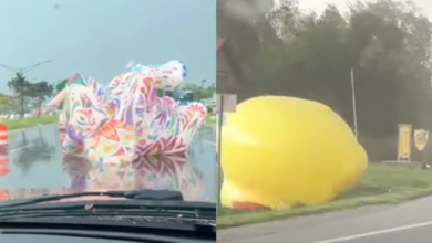 High winds in Mid-Michigan cause inflatable animals to drift