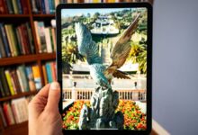 Best iPad Pro Keyboard Cases of 2024: Tested and Reviewed by Experts