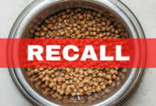 Dog food recalled due to metal contamination concerns