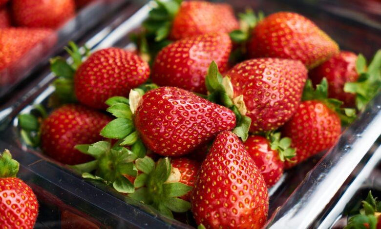 Are strawberries safe for dogs?