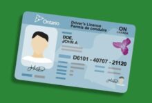 Ontario will suspend the driver's licenses of convicted car thieves for at least 10 years