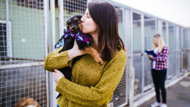 A Comprehensive New Puppy Checklist for First-Time Pet Owners