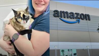 'We didn't know' Cat mistakenly sent from Utah to California using Amazon Returns Plan