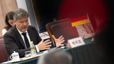 German economics minister: EU tariffs on China are not a 'punishment'