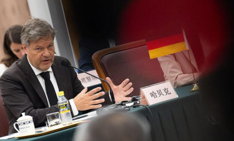 German economics minister: EU tariffs on China are not a 'punishment'