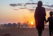 World news summary: Human rights abuses in Ethiopia must end, El Fasher crisis update, UN stands with Niger
